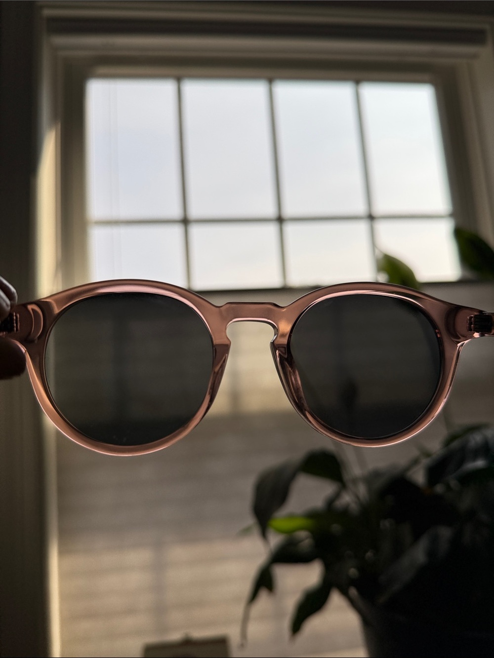 NIB Handmade in the EU- Sun Buddies Sunglasses